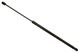 25" Stabilus Lift Support SG102006 for Hatch