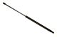 Stabilus Lift Support SG230035 for Trunk/Hatch