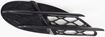 Mercedes Benz Passenger Side Bumper Grille-Black, Plastic, Replacement M015503